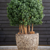 De Kunst Buxusbal Hout Romeinse stijl UV 90 cm, een ronde bladgroene plant met dikke stengels, staat in een grote stenen pot op hout, tegen een donkere horizontale wand met houten panelen.