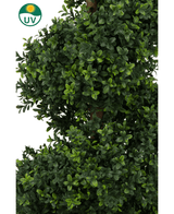 De Kunst Buxus Spiraal Romeinse stijl UV 120cm heeft dicht, weelderig groen kunstgroen gebladerte met kleine blaadjes en een UV-bestendigheidssymbool met een zonnepictogram in de linkerbovenhoek.