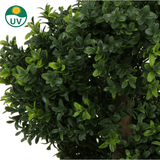Close-up van dichte, groene bladeren van de Kunst Buxus Spiraal Romeinse stijl UV 90cm, met een klein groen UV icoontje in de linkerbovenhoek met een zon en de letters UV.