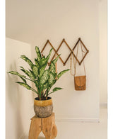 De Kunstplant Dieffenbachia 75 cm in een plantenbak met structuur zit op een houten krukje. Daarachter hangt een bruine leren tas aan een accordeon houten wandrek dat is gemonteerd op een crèmekleurige muur.
