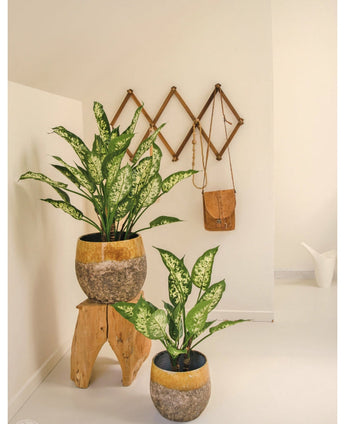 Een Kunstplant Dieffenbachia 75 cm met bonte bladeren staat in een sierpot, verhoogd op een houten krukje. Daarachter hangt een bruine leren tas aan een houten accordeon wandrek in deze minimale, lichte kamer.