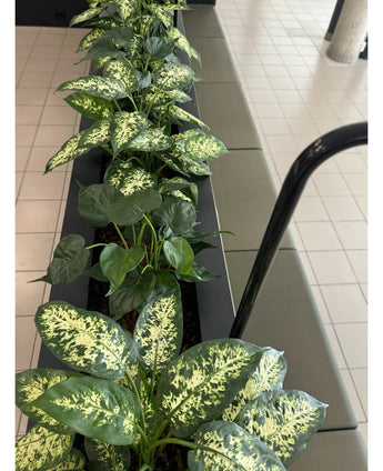Een Kunstplant Dieffenbachia 75 cm met bonte bladeren staat in een decoratieve pot naast een betegelde vloer en een olijfgroene bank met kussens, wat een gezellig tintje geeft aan de binnenruimte.