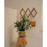 De Kunstplant Dracaena Reflexa in pot UV 63 cm siert een minimalistische kamer met witte muren, geplaatst op een naturel houten kruk. Een houten wandrek achter houdt een kleine bruine tas en crèmekleurige stoffen voor een tropisch interieur.