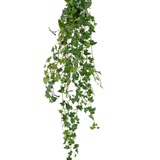 De Kunst hangplant Klimop deluxe 120 cm groen heeft groene, puntige bladeren en slepende stengels, waardoor het lijkt op een hangende klimopplant. De kunstklimop is geïsoleerd op een witte achtergrond.