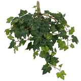 De Kunst Klimop Deluxe Groen 40cm heeft weelderige groene bladeren en slingerende wijnranken tegen een witte achtergrond.