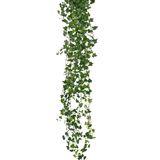 De Kunst hangplant Klimop deluxe 180 cm groen heeft een lange streng groene klimop met veel kleine, puntige blaadjes die naar beneden vallen, perfect als decoratie tegen een witte achtergrond.