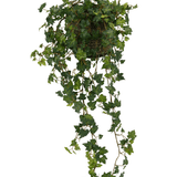 De Kunst Klimop Deluxe Groen 90cm is een hangmand met weelderige, groene klimopranken die elegant tegen een witte achtergrond cascaderen.