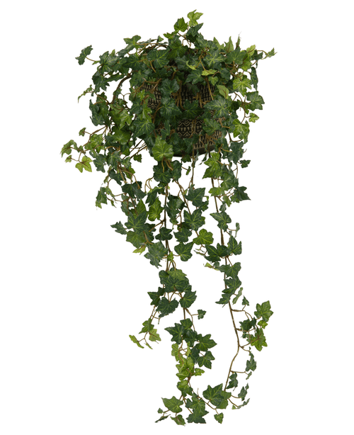 De Kunst Klimop Deluxe Groen 90cm is een hangmand met weelderige, groene klimopranken die elegant tegen een witte achtergrond cascaderen.