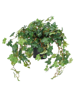 De Kunst Klimop Deluxe groen in pot 40 cm UV heeft lange, slingerende groene ranken met hartvormige bladeren, mooi gepresenteerd in een pot tegen een witte achtergrond.