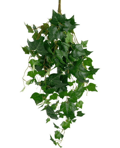 De Kunst klimop reuzenbladeren 100cm heeft een weelderige tros groene klimopbladeren met slingerende wijnranken op een effen witte achtergrond.