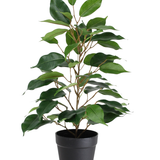 De Kunstplant Ficus in Pot 40cm is een hoge kunstplant in pot met meerdere takken en grote, glanzend groene bladeren, gepresenteerd in een eenvoudige zwarte pot tegen een witte achtergrond.