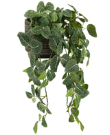 De Kunsthangplant Fittonia Groen-wit 70cm heeft groene bladeren met witte aderen, die uit een decoratieve zwarte pot met een geometrisch patroon komen, perfect als opvallend accentstuk.