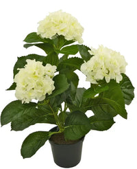 Kunstplant Hortensia Wit UV 35 cm