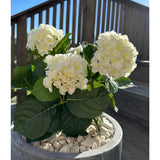 De Kunstplant Hortensia Wit UV 35 cm, met witte bloemen en groene bladeren, staat op een zonnige dag buiten op witte kiezelstenen, met op de achtergrond houten terrasleuningen en een trap.