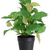 De Kunstplant "House Wanderer" in pot 25cm heeft groene en lichtgele bladeren in een eenvoudige zwarte pot, tegen een witte achtergrond.