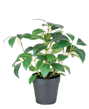Een Kunst Jasmijnplant in pot 25 cm UV met weelderige groene bladeren, tentoongesteld in een eenvoudige zwarte plastic pot tegen een effen witte achtergrond.