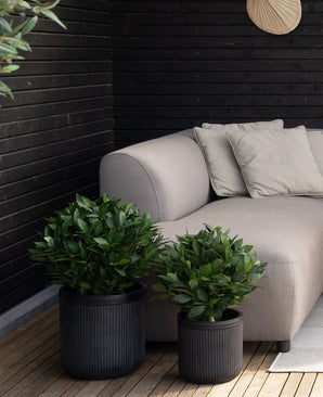 Een gezellige zithoek buiten heeft een lichtgrijze bank met beige kussens, naast twee Kunstplant Laurier d30 cm UV in donkere geribbelde potten, tegen een zwarte houten muur op een houten terras.