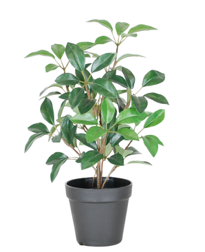 De Kunst Laurier in pot 43 cm UV is een kleine kunstplant met groene bladeren in een eenvoudige zwarte plastic pot, tegen een witte achtergrond.