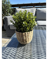 De Kunstplant Buxus groen in pot 19 cm UV staat op een glazen buitentafel, de levendige groene bladeren fleuren het tafereel op samen met een grijze rieten bank en blauwe lucht op de achtergrond.