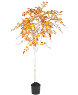 De Kunst Berkenboom "Herfst" 150 cm is een boom in pot met een slanke witte stam en takken, met levendige oranje, gele en rode herfstbladeren tegen een effen witte achtergrond.