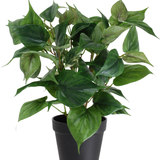 De Kunstplant Philodendron in pot 35 cm heeft een groene kamerplant in pot met hartvormige bladeren in een eenvoudige zwarte plastic pot, geïsoleerd op een witte achtergrond.