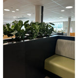 Een moderne zithoek binnenshuis is voorzien van een groene bank met kussens, onderverdeeld door een zwart paneel met daarop de Kunstplant Syngonium UV 58 cm. Grote ramen en plafondverlichting vullen de ruimte met licht en creëren een open, groene oase.
