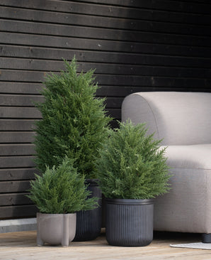 Drie Kunstplant Conifeer deluxe UV 60 cm kunstheesters staan op een houten vlonder in de buurt van een lichtgrijze buitenbank en een donkere houten muur - perfect om een groene tuin te creëren met onderhoudsarme kunstplanten buiten.