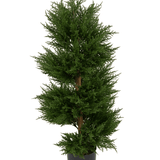De Kunstplant Conifeer Spiraal UV 90 cm heeft dicht, groen blad dat in een elegante spiraal is gerangschikt en wordt geleverd in een strakke zwarte kunststof pot tegen een witte achtergrond. Deze UV-behandelde en weerbestendige kunstcypres is zo ontworpen dat hij zowel binnen als buiten zijn levendige uiterlijk behoudt.