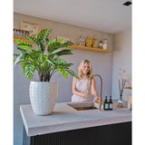 Een vrouw lacht naar een modern aanrecht met haar hand onder de kraan. De Kunstplant Calathea Makoyana Deluxe UV 75 cm staat op de voorgrond op het aanrecht. Open schappen tonen potten en decoratieve voorwerpen op de achtergrond.