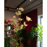 Een enkele Kunstkornoelje Real Touch Lichtgeel 74cm steel met lichtgele bloemblaadjes en roze uiteinden staat in een lichte kamer, omringd door groene potplanten en bloemstukken bij een rood-witte muur.