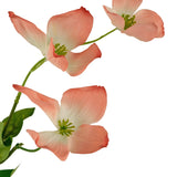 Op het Kunstkornoelje Real Touch Lichtroze 74cm staan drie lichtroze kornoeljebloemen met groene hartjes en blaadjes op een tak, tegen een witte achtergrond.