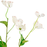 Het Kunstkornoelje Real Touch Wit 74cm heeft levensechte witte kornoelje bloemen met lichtroze randen en groene bladeren op slanke stelen, tegen een witte achtergrond.