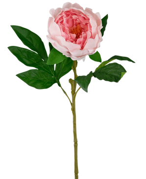 Pivoine artificielle Real Touch Rose 58cm