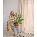 Een glimlachende vrouw zit op een houten stoel met de Kunstplant Calathea Makoyana 60 cm in een design pot. Ze draagt een beige blazer, een lichte spijkerbroek en gympen. Lichte gordijnen op de achtergrond versterken de minimale en lichte uitstraling van de kamer.