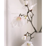 Een close-up van de Kunstmagnoliatak Real Touch Wit 98cm toont delicate witte magnolia bloemen met roze hart op donkere takken in een witte vaas, tegen een zacht vervaagde lichte achtergrond.
