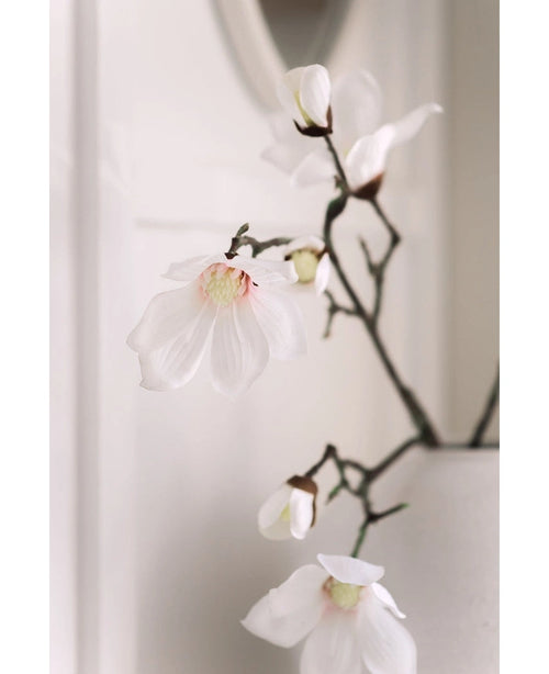 Een close-up van de Kunstmagnoliatak Real Touch Wit 98cm toont delicate witte magnolia bloemen met roze hart op donkere takken in een witte vaas, tegen een zacht vervaagde lichte achtergrond.