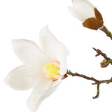 De Kunstmagnoliatak Real Touch Wit 98cm heeft een bloeiende witte magnoliabloem en een gesloten knop op een tak, tegen een effen witte achtergrond.