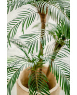 Kunstpalm Cycas Classic 135 cm