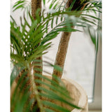Close-up van een Kunstpalm Cycas Classic 135 cm met slanke stammen en weelderig groene bladeren, tentoongesteld in een elegante sierpot bij een raam met zacht natuurlijk licht.