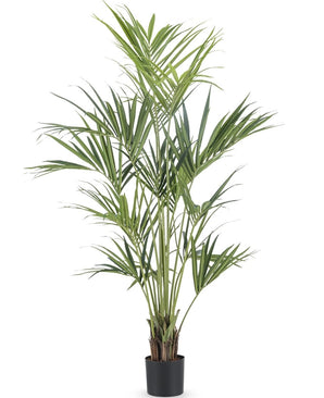 Plante artificielle Kentia Palmier 180 cm