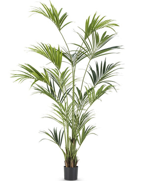 Kunstplant Kentia Palm 240 cm