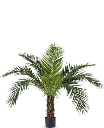 Kunstpalm Phoenix Canarie 160 cm