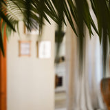 Een close-up van Kunstpalm Phoenix De Luxe 210 cm groene bladeren verduistert gedeeltelijk een zacht verlichte kamer met crèmekleurige muren, ingelijste foto's, witte gordijnen en een onscherpe achtergrond.
