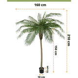 Kunstpalm Phoenix De Luxe 210 cm: kunstpalm, max breedte 160 cm, stamhoogte 150 cm, potmaat H15xØ18 cm. Branding en Nederlandse tekst zijn zichtbaar.