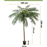 Kunstpalm Phoenix De Luxe 250 cm: Kunstmatige palmboom met lange gevederde bladeren in een zwarte pot. Hoogte: 250 cm, stam: 210 cm, bladspanne: 185 cm, potmaat: 18x20 cm (H x Ø). Tekst en afmetingen zijn overlappend.