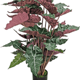 De Kunstplant Alocasia 100 cm groen/rood heeft grote, donkergroene bladeren met prominente witte nerven en roodpaarse onderkanten, gepresenteerd in een zwarte pot.