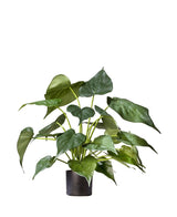 Kunstplant Alocasia 51 cm