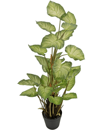 Kunstplant Alocasia Odora 90 cm