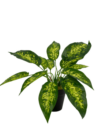 Kunstplant Anthurium 25 cm