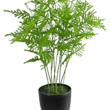 De Kunstplant Asparagus 59 cm heeft weelderige, delicate groene bladeren in een strakke zwarte pot, tegen een frisse witte achtergrond.
